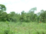 19634P1010481.JPG