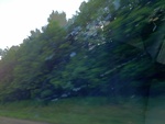 57766IMG_1053.JPG