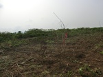50433CIMG1062.JPG