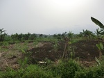 50797CIMG1426.JPG