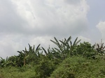49567CIMG5904.JPG