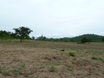 18611P1000448.JPG