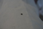273IMG_4169.JPG