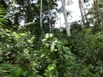 46588CIMG0877.JPG
