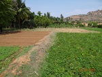 51926Tank ID 1800066 Thayagondanahalli 3.JPG