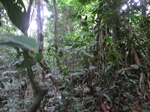 45649CIMG2734.JPG