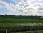 30431CIMG2000.JPG
