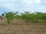 18640P1000478.JPG