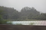 2024-08-05_13-43-56_DBEAB33D-4F56-40F7-B5A0-412DB1C63066.jpeg