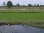 34583RIMG0049.JPG