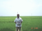 75100335b-irrigated-canal-rice.jpg