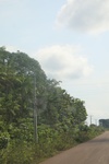 2024-10-10_17-08-03_9F7AF403-521A-4110-9FDE-814E2E85FF68.jpeg