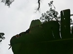 46100CIMG0389.JPG