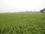 14998IMG_3808.JPG
