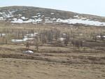 24361P1010854.JPG