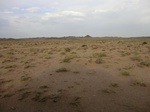 36650CIMG0419.JPG