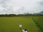6368079b-irrigated-major-canal-and-tank-rice-coconut-fragment-doublecrop.jpg