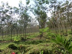 31241CIMG1103.JPG
