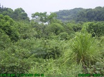 885R0015399_tag.jpg