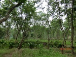53373CIMG6670.JPG