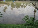 13899IMG_4181.JPG