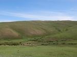 37957CIMG1765.JPG