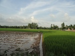 21741DSC00287.JPG