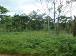 20582P1020439.JPG