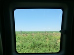55519CIMG2110.JPG