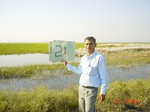 6670gt121-wetland-cropland-2.jpg