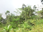 49806CIMG6143.JPG