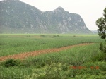 34754CIMG2582.JPG