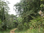48104CIMG4441.JPG