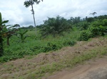 20285P1020141.JPG