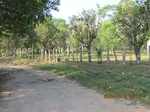 31889IMG_5403.JPG