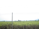 28114IMG_4918.JPG