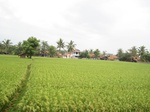 14452IMG_4805.JPG