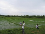 1188236-cropland-rice-fallow-with-high-weeeds-a.jpg