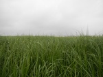 54416DSCN1696.JPG