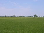 28065RIMG0120.JPG