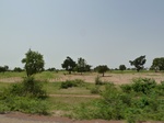 18980P1000824.JPG