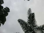 45591CIMG2676.JPG