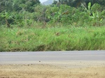 50811CIMG1440.JPG