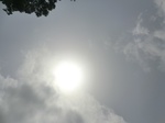47123CIMG3460.JPG
