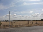 35538DSC02035.JPG