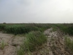 53821CIMG0370.JPG