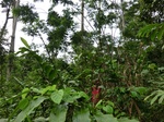43438CIMG0233.JPG