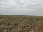 29408CIMG0643.JPG