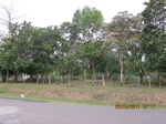 31904IMG_5325.JPG
