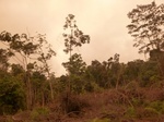 54823Berau (114).JPG